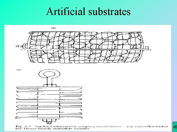 Artificial substrates 