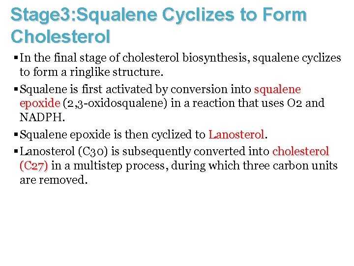 Stage 3: Squalene Cyclizes to Form Cholesterol § In the final stage of cholesterol