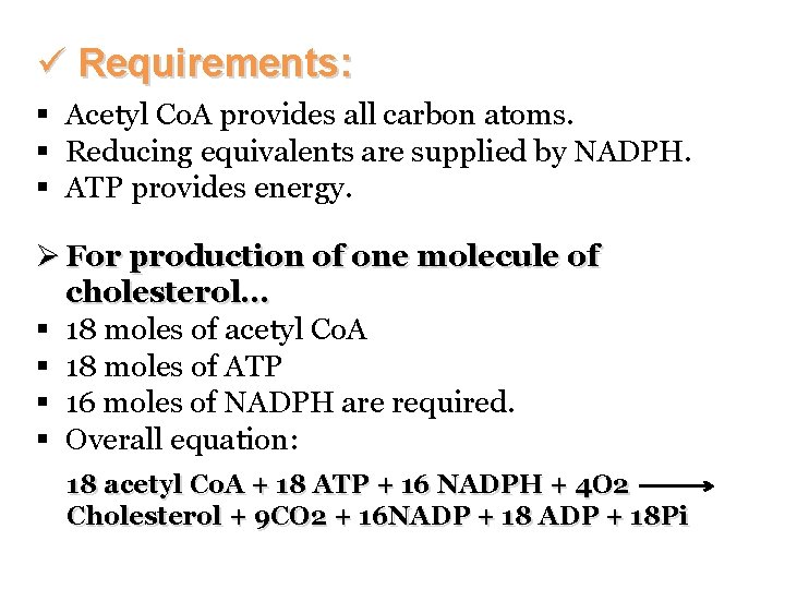 ü Requirements: § Acetyl Co. A provides all carbon atoms. § Reducing equivalents are