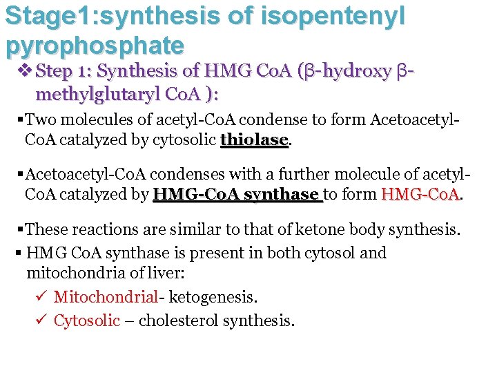 Stage 1: synthesis of isopentenyl pyrophosphate v Step 1: Synthesis of HMG Co. A
