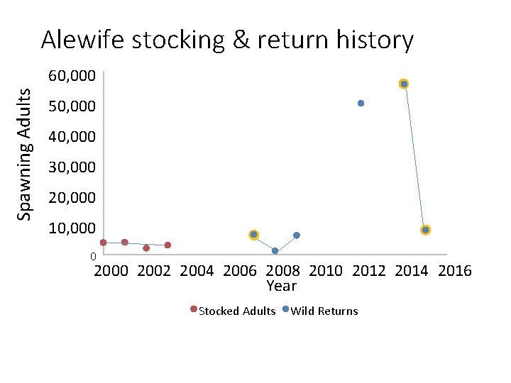 Alewife stocking & return history Spawning Adults 60, 000 50, 000 40, 000 30,