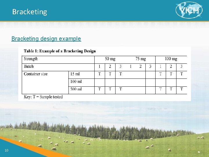 Bracketing design example 10 