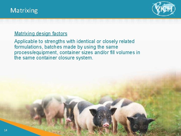 Matrixing design factors Applicable to strengths with identical or closely related formulations, batches made