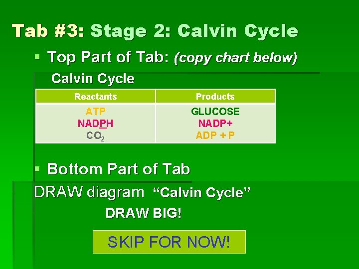 Tab #3: Stage 2: Calvin Cycle § Top Part of Tab: (copy chart below)