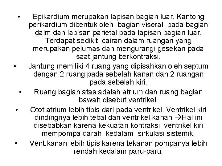  • Epikardium merupakan lapisan bagian luar. Kantong perikardium dibentuk oleh bagian viseral pada