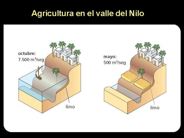 Agricultura en el valle del Nilo 