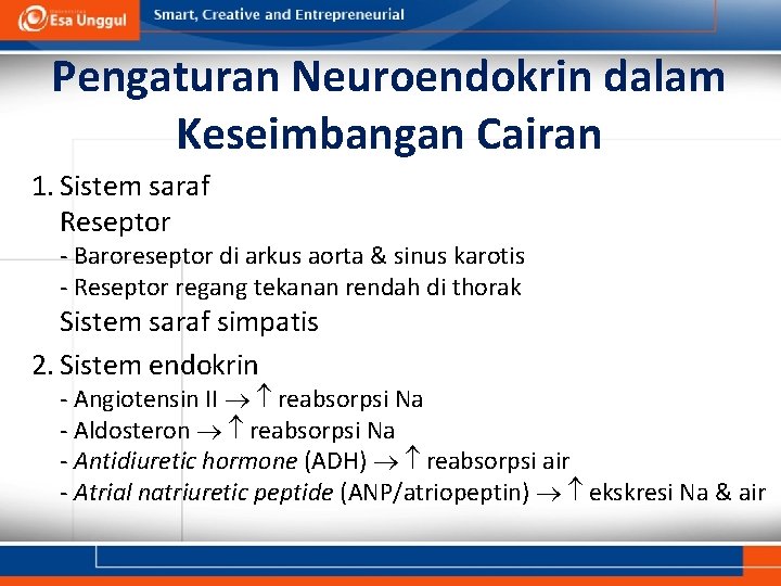 Pengaturan Neuroendokrin dalam Keseimbangan Cairan 1. Sistem saraf Reseptor - Baroreseptor di arkus aorta