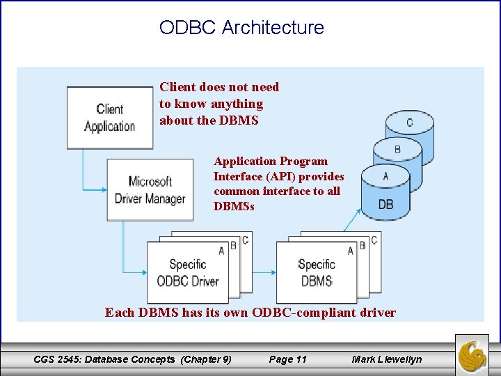 ODBC Architecture Client does not need to know anything about the DBMS Application Program