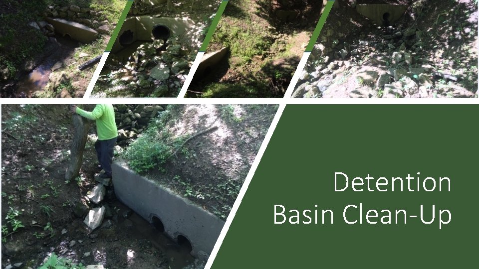 Detention Basin Clean-Up 