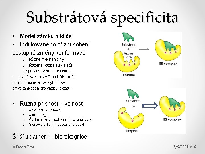 Substrátová specificita • Model zámku a klíče • Indukovaného přizpůsobení, postupné změny konformace o