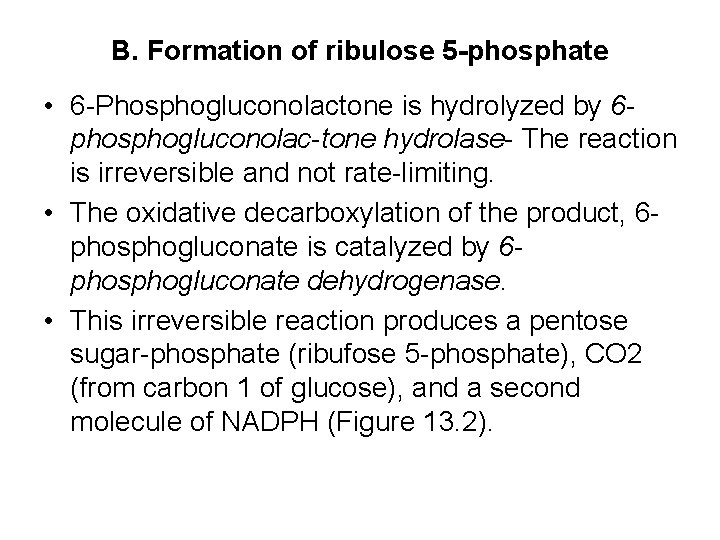 B. Formation of ribulose 5 -phosphate • 6 -Phosphogluconolactone is hydrolyzed by 6 phosphogluconolac-tone