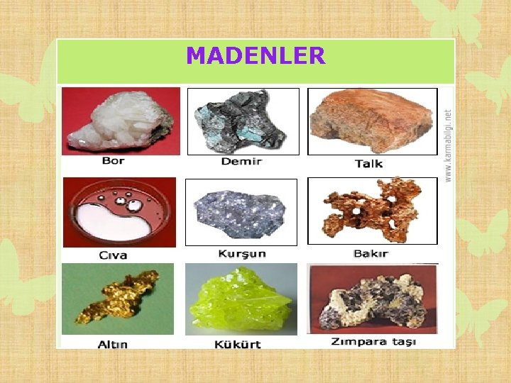 MADENLER 