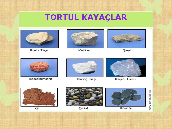 TORTUL KAYAÇLAR 