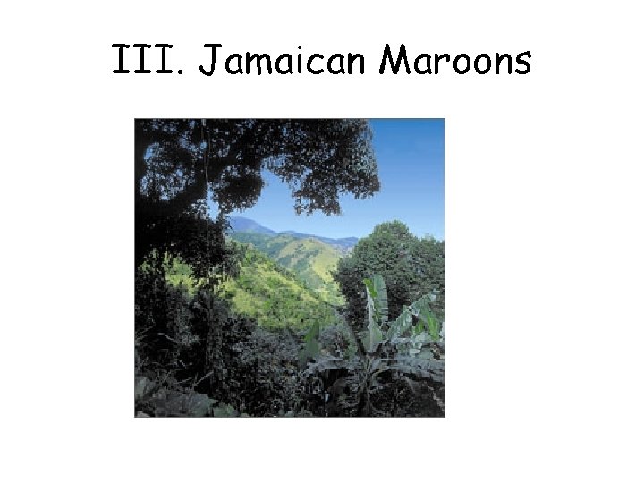 III. Jamaican Maroons 