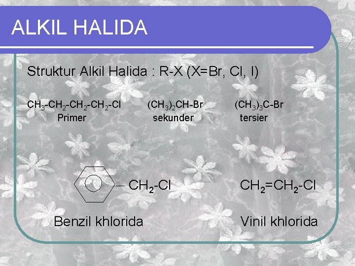 ALKIL HALIDA Struktur Alkil Halida : R-X (X=Br, Cl, I) CH 3 -CH 2