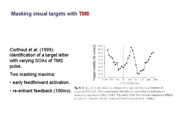 Corthout et al. (1999): Identification of a target letter with varying SOAs of TMS
