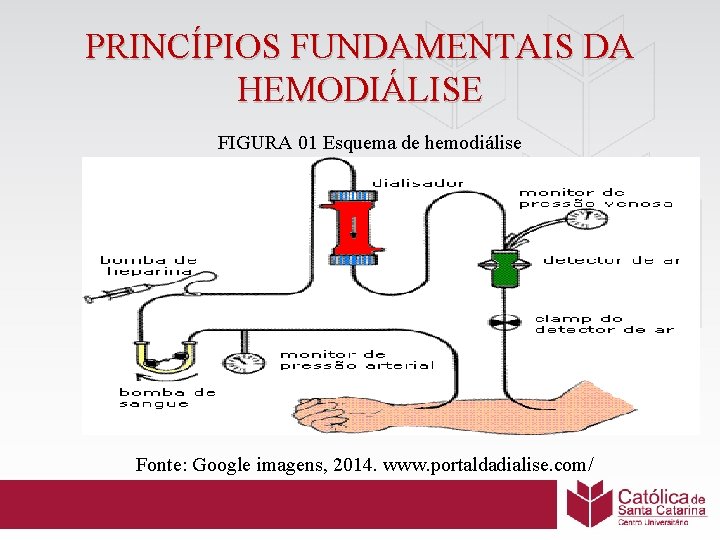 PRINCÍPIOS FUNDAMENTAIS DA HEMODIÁLISE FIGURA 01 Esquema de hemodiálise Fonte: Google imagens, 2014. www.