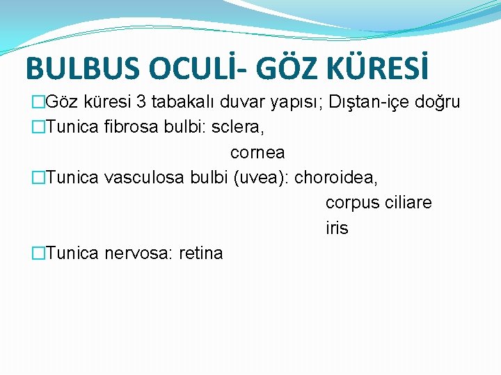 BULBUS OCULİ- GÖZ KÜRESİ �Göz küresi 3 tabakalı duvar yapısı; Dıştan-içe doğru �Tunica fibrosa