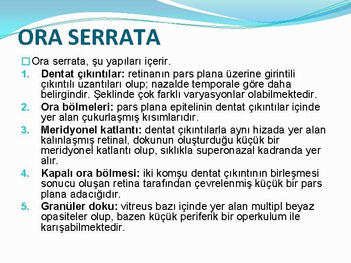 ORA SERRATA �Ora serrata, şu yapıları içerir. 1. Dentat çıkıntılar: retinanın pars plana üzerine