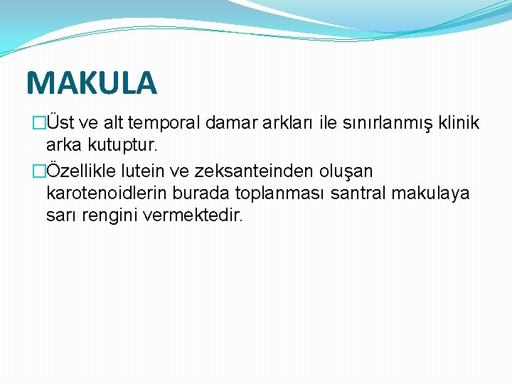MAKULA �Üst ve alt temporal damar arkları ile sınırlanmış klinik arka kutuptur. �Özellikle lutein