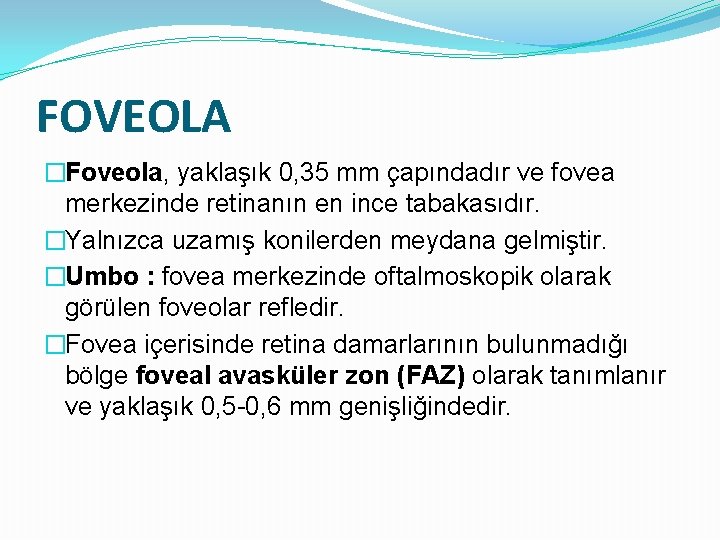 FOVEOLA �Foveola, yaklaşık 0, 35 mm çapındadır ve fovea merkezinde retinanın en ince tabakasıdır.