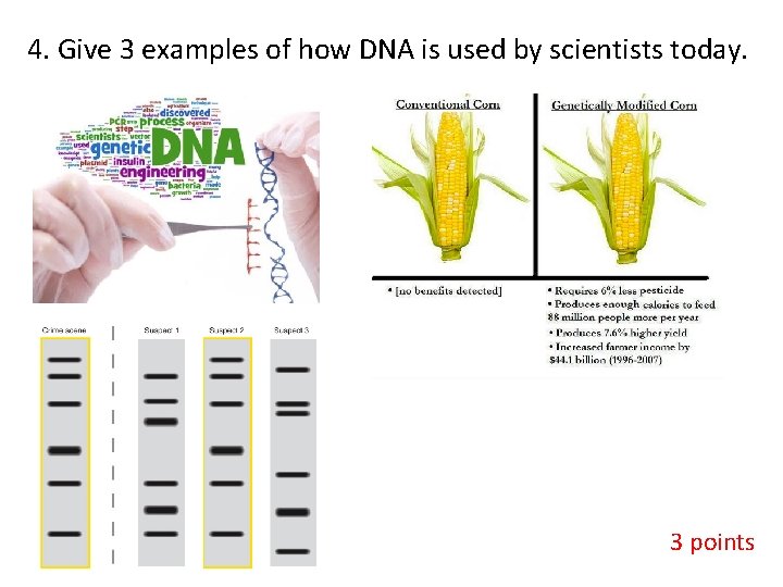 4. Give 3 examples of how DNA is used by scientists today. 3 points