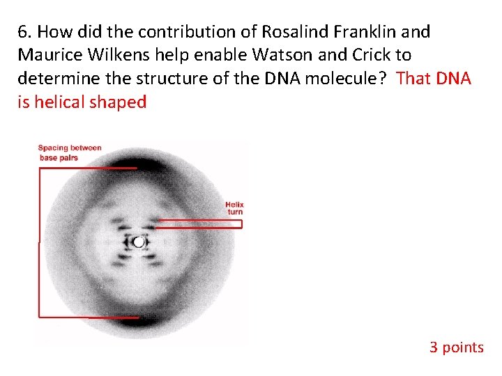 6. How did the contribution of Rosalind Franklin and Maurice Wilkens help enable Watson