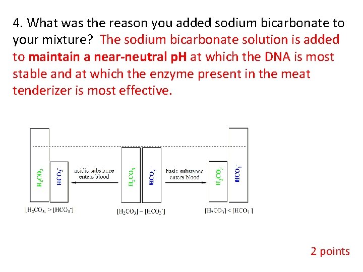 4. What was the reason you added sodium bicarbonate to your mixture? The sodium