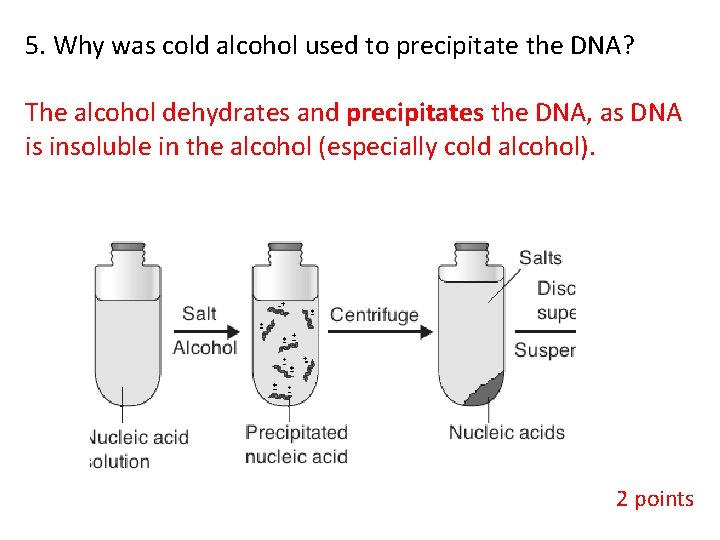 5. Why was cold alcohol used to precipitate the DNA? The alcohol dehydrates and