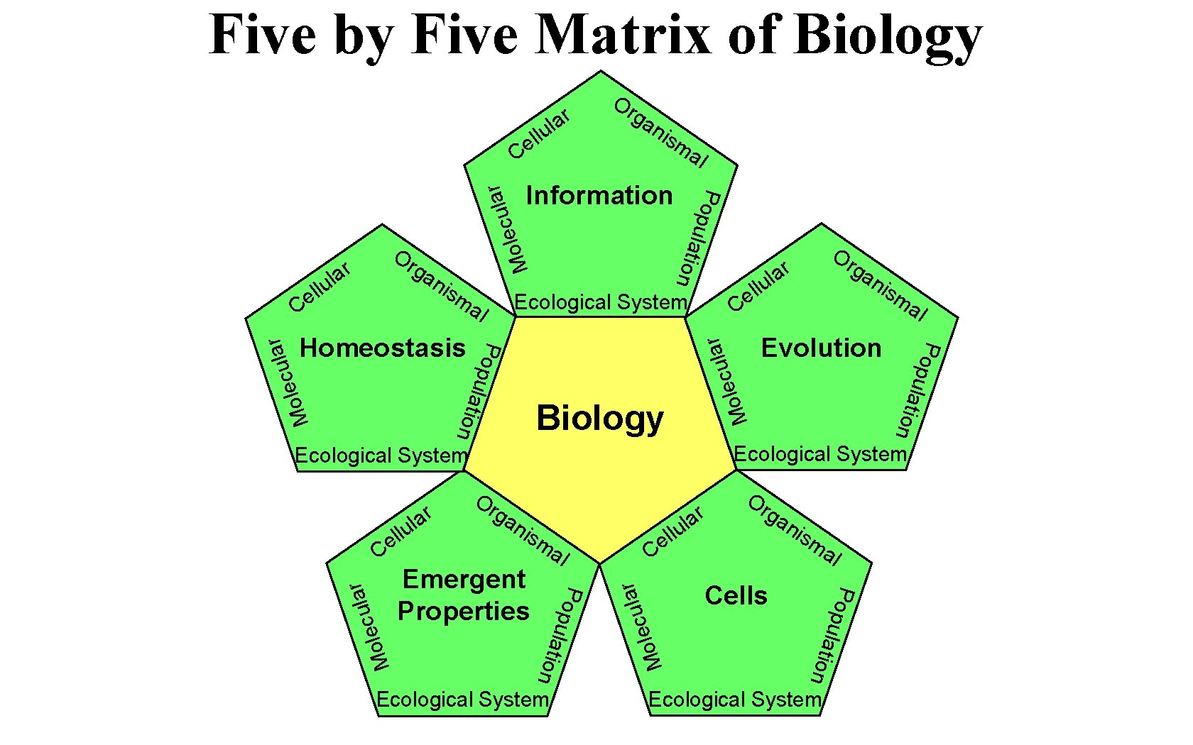 Five by Five Matrix of Biology r a ul ll e C Or ga