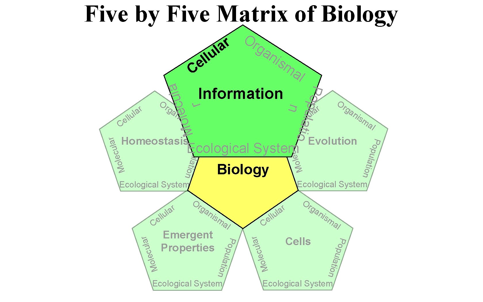 Five by Five Matrix of Biology a l u c e l o M