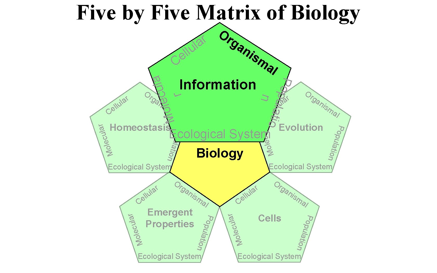 Five by Five Matrix of Biology r la u l l e Or ga