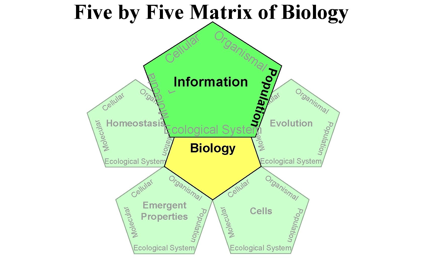 Five by Five Matrix of Biology a l u c e l o M