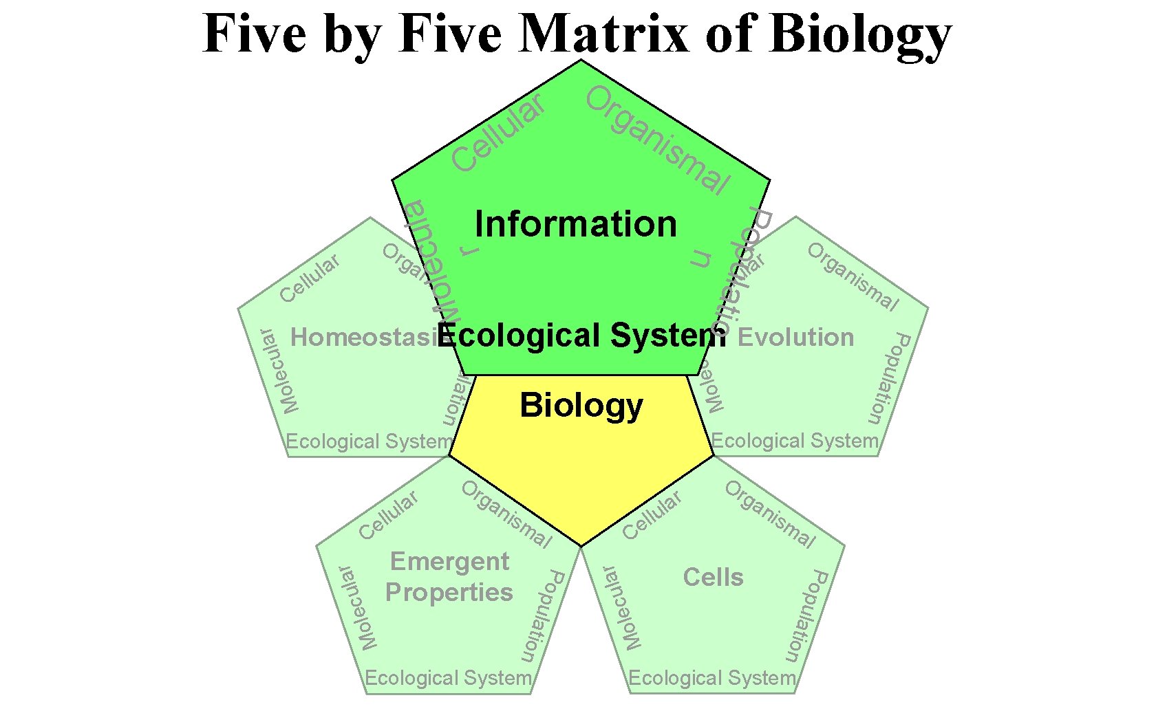 Five by Five Matrix of Biology a l u c e l o M