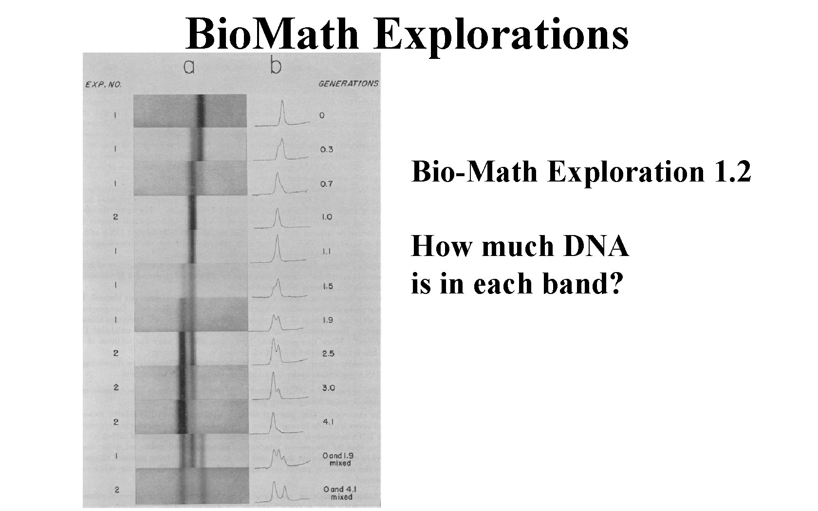 Bio. Math Explorations Bio-Math Exploration 1. 2 How much DNA is in each band?