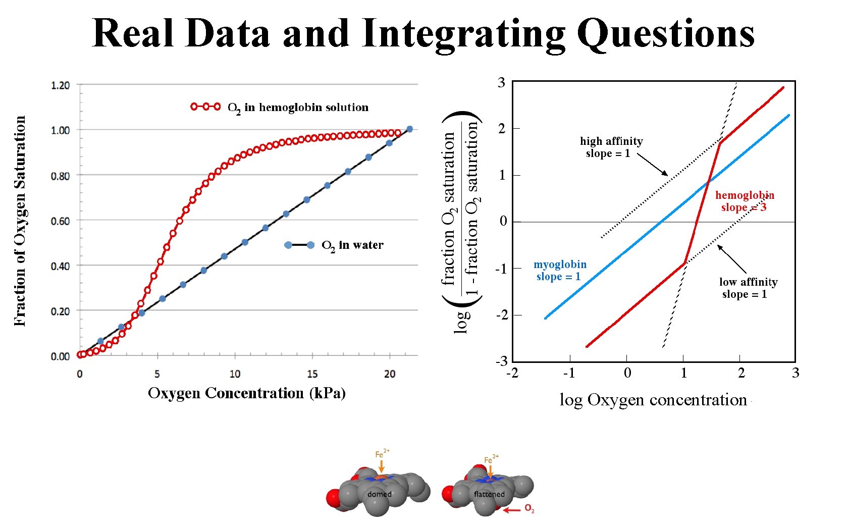 Real Data and Integrating Questions log Oxygen concentration 