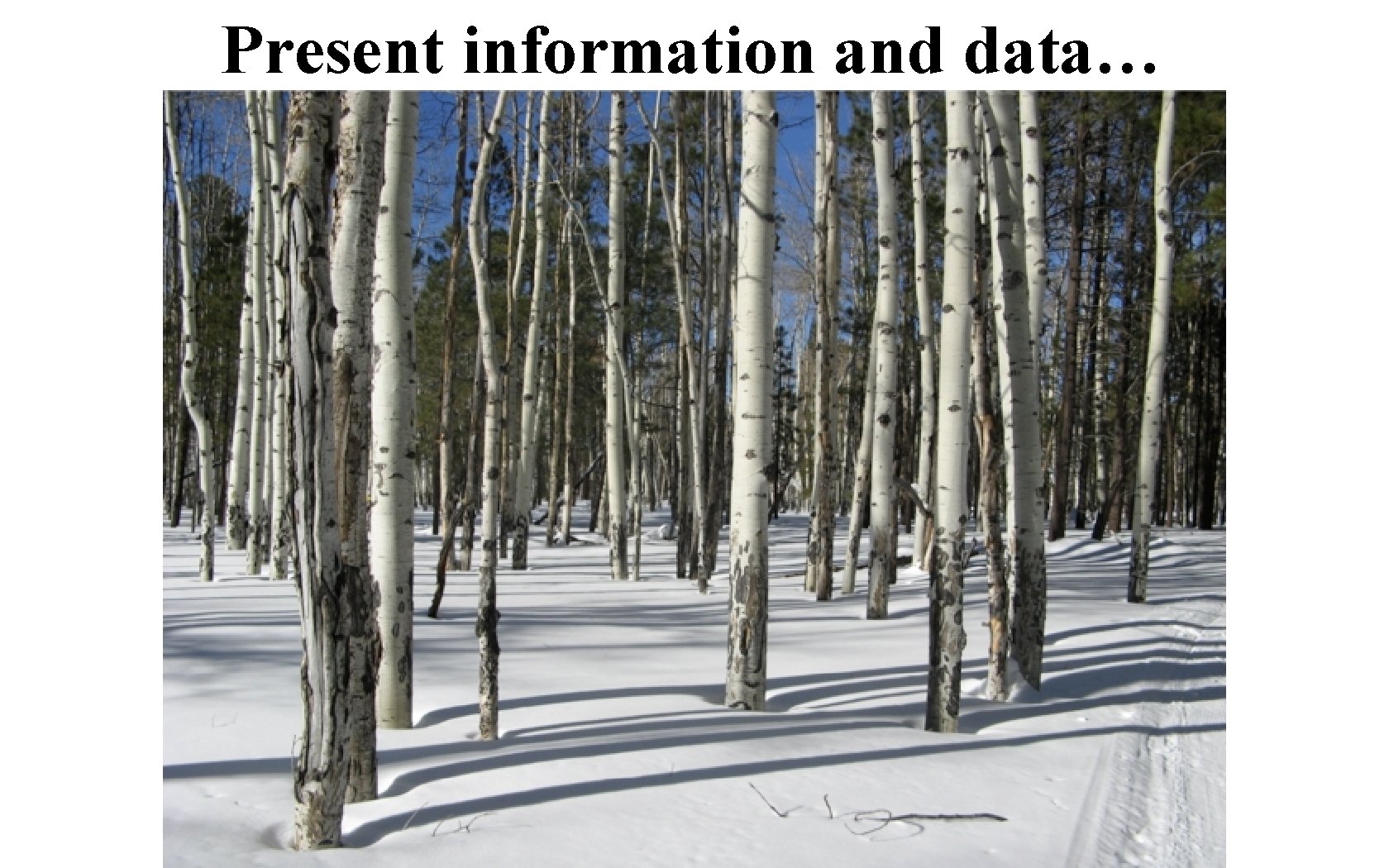 Present information and data… 