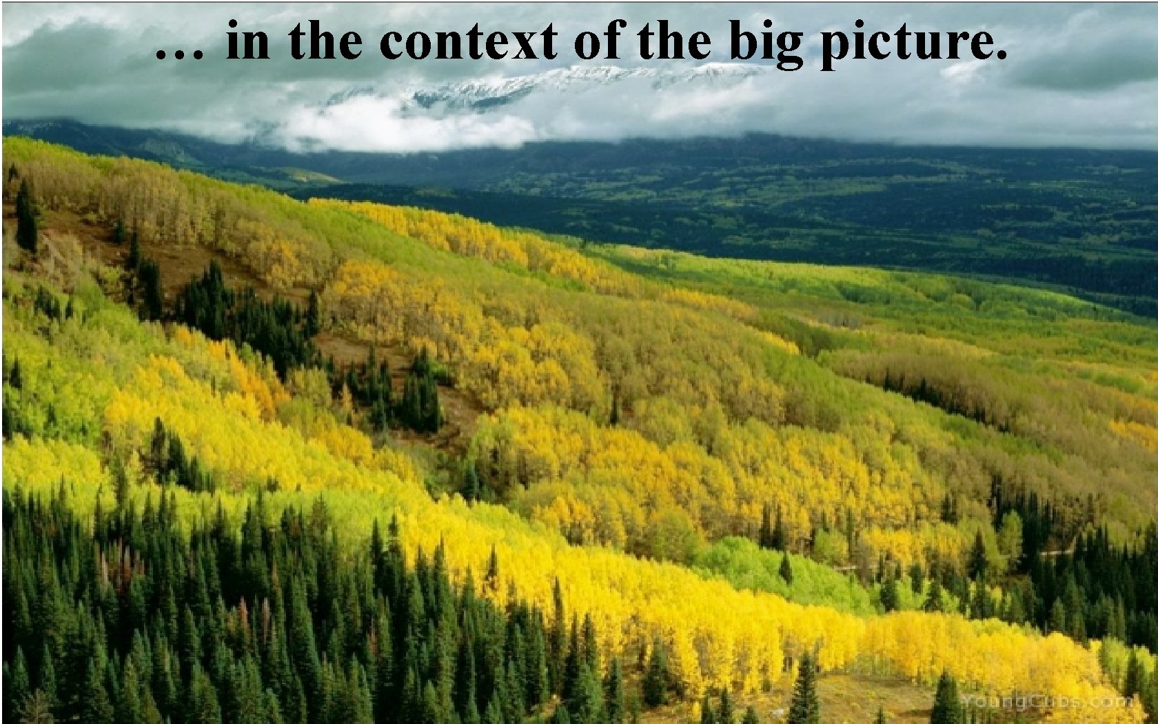 … in the context of the big picture. 