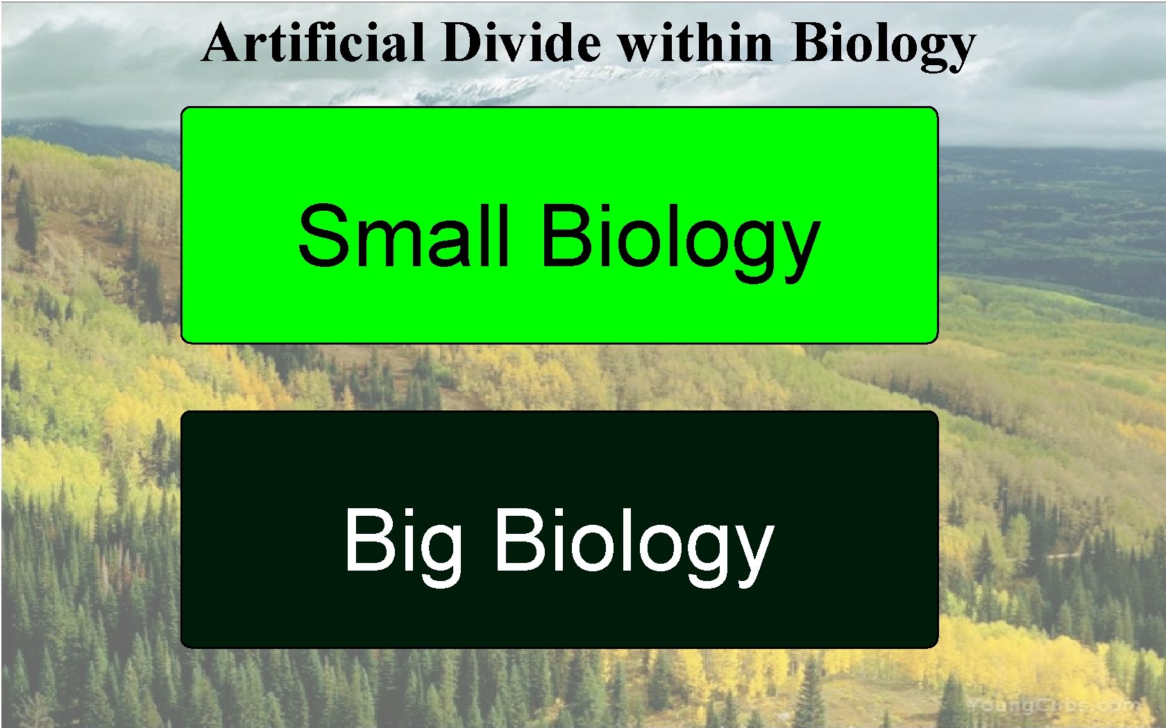 Artificial Divide within Biology Small Biology Big Biology 