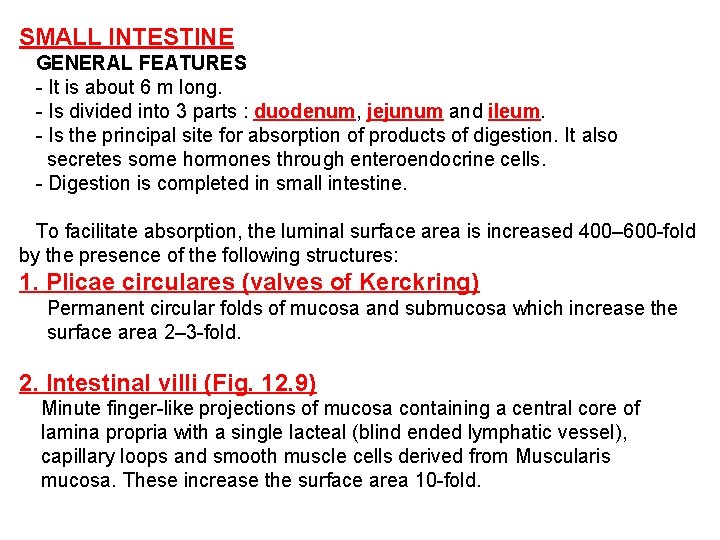SMALL INTESTINE GENERAL FEATURES - It is about 6 m long. - Is divided
