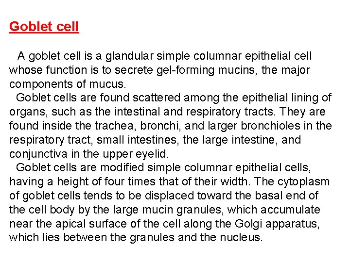 Goblet cell A goblet cell is a glandular simple columnar epithelial cell whose function