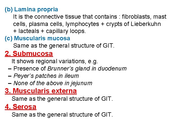 (b) Lamina propria It is the connective tissue that contains : fibroblasts, mast cells,