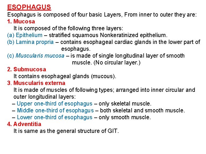 ESOPHAGUS Esophagus is composed of four basic Layers, From inner to outer they are: