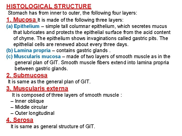 HISTOLOGICAL STRUCTURE Stomach has from inner to outer, the following four layers: 1. Mucosa