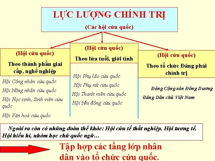 LỰC LƯỢNG CHÍNH TRỊ (Các hội cứu quốc) (Hội cứu quốc) Theo thành phần