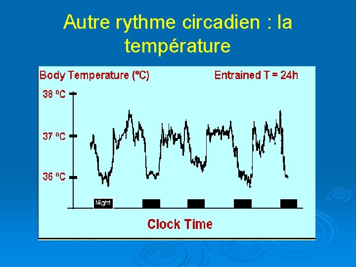 Autre rythme circadien : la température 