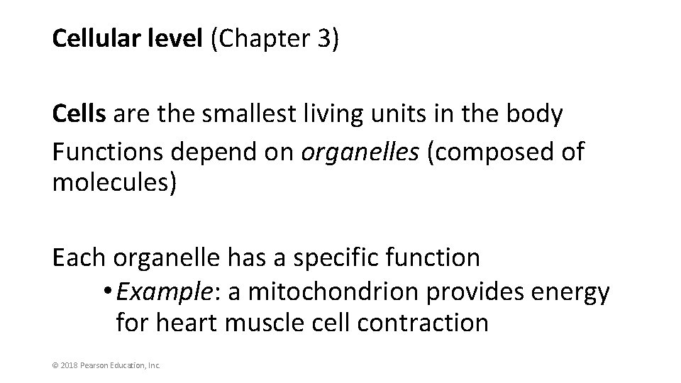 Cellular level (Chapter 3) Cells are the smallest living units in the body Functions