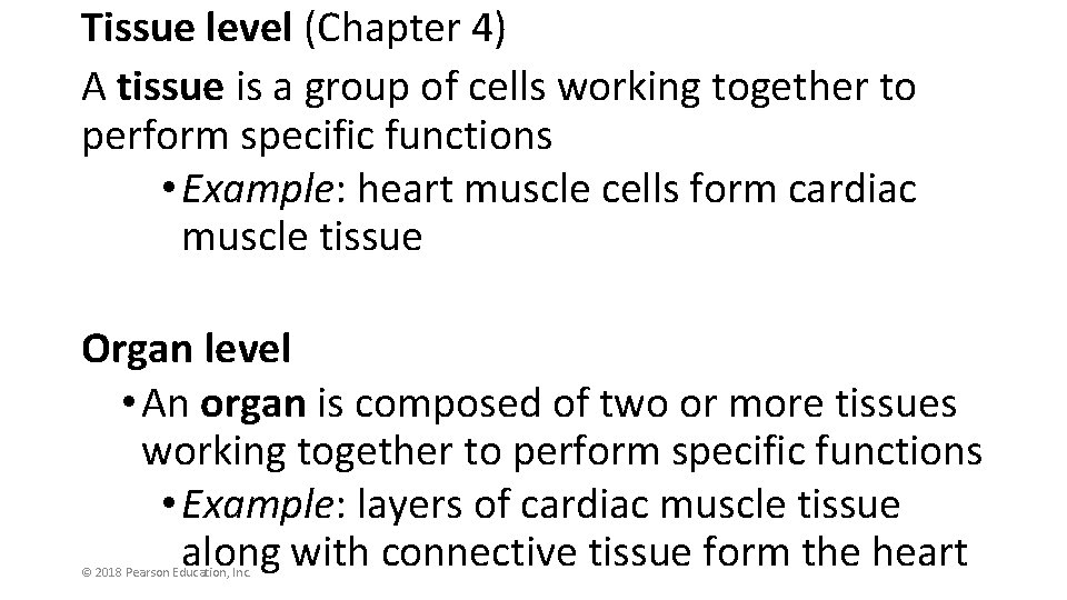 Tissue level (Chapter 4) A tissue is a group of cells working together to