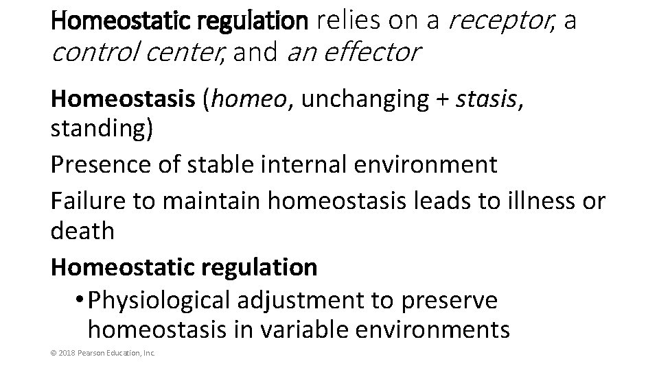 Homeostatic regulation relies on a receptor, a control center, and an effector Homeostasis (homeo,