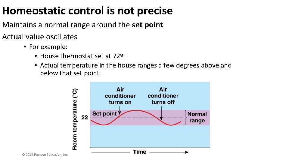 Homeostatic control is not precise Maintains a normal range around the set point Actual